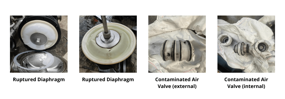 Ruptured Pump Diaphragm and Contaminated Air Valves in pumps